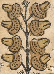 Playing Card, second half 15th century