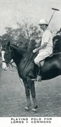 Playing Polo for Lords vs Commons