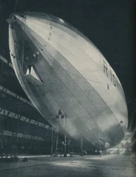 Poised in the Vast Hall of Her Birthplace, Ready To Take Wing