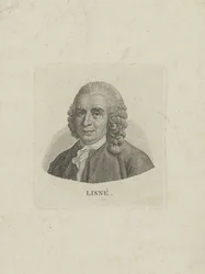 Portrait of Carl Linnaeus 1707-1778, c. 1780