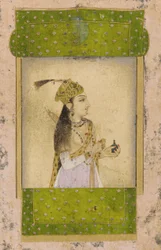 Portrait of a Lady
