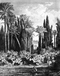 Princely Garden in Cairo, Egypt, 1880