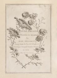 Print