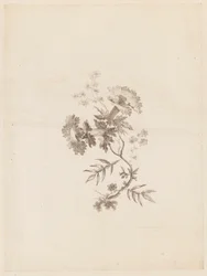 Print