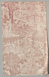 Printed Cotton Cloth