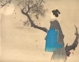 Profile View of a Woman Strolling in the Moonlight