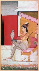 Punjabi illustration of a lady with a hawk