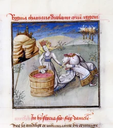 Queen Tomyris (from Speculum Humanae Salvationis by Ludolph of Saxony)