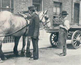RSPCA Inspector Examining a Horse