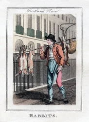 Rabbits, Portland Place, London