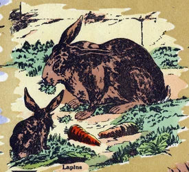 Rabbits and carrots. Illustrated alphabet. Imageries reunited in Jarville-Nancy, beginning of the 20th century.