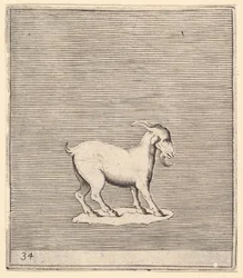 Ram