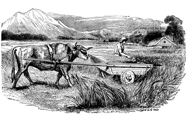 Reconstruction of Roman reaping cart, as described by Pliny
