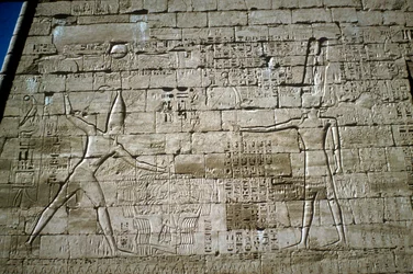 Relief of Rameses III Smiting Enemies, Mortuary Temple of Rameses III, Medinat Habu