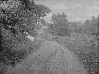 Road Alongside the Brandywine, Pennsylvania