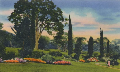 Rock Garden, Trinidad, B.W.I.