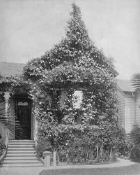 Rose Cottage, South Spring Street, Los Angeles, California