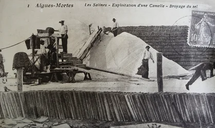 Saltworks, Camargue, Aigues-Mortes, Provence, France