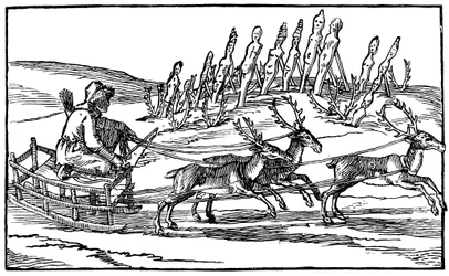 Samoyed Travelling on a Sleigh Pulled by Reindeer
