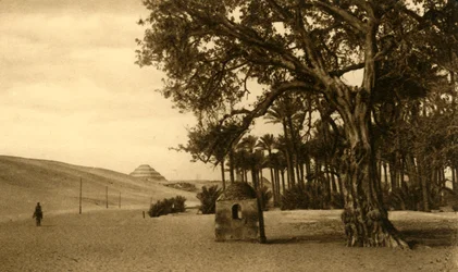 Saqqara - The Step Pyramid Seen from the Sycomore