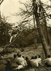 Scouts Practising Pioneering