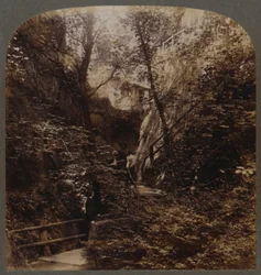 Shanklin Chine of World-wide fame, Isle of Wight, England