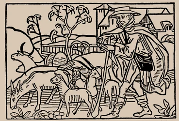 Shepherd. From Speculum Vitae Humanae by Rodericus Zamorensis, 1479