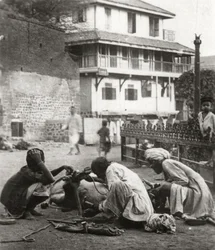 Shoeing a Bullock, India
