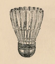 Shuttle - Badminton