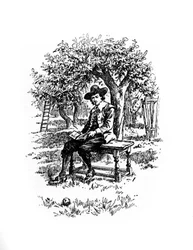Sir Isaac Newton under the apple tree