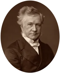 Sir Robert Lush, Judge of the High Court of Justice, 1881