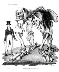 Skeleton of Megatherium, extinct giant ground sloth