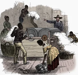Slave labour on a cotton plantation in the southern states of America, 1860