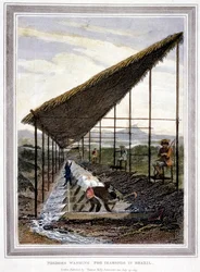 Slaves washing for diamonds watched over by supervisors with whips, Brazil, 1815