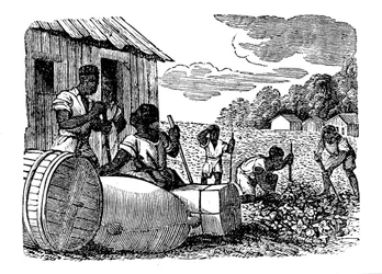 Slaves Working on a Tobacco Plantation, 1833