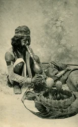 Snake Charmer