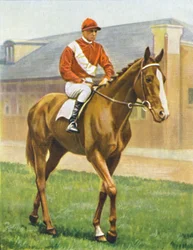 Snake Lightning. Jockey: T. Hawcroft