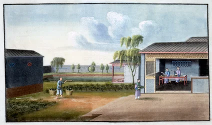 Sorting Tea, 19th Century