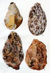 Specimens of patination in Britain, 1926