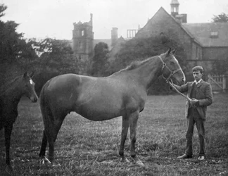 St Marguerite, British Racehorse, 1895 1938