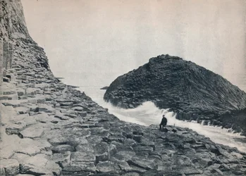 Staffa - The Herdsman