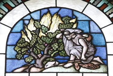 Stained Glass: Moses and the Fire, Budapest, Hungary