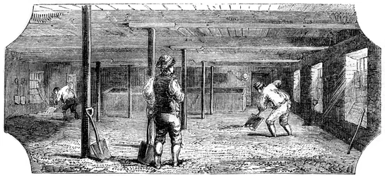 Steeping, couching and flooring malt, 1886