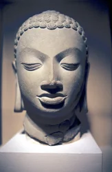 Stone Head of Buddha, Gupta, India, 5th Century