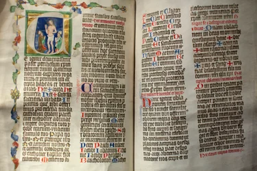 Strahov Monastery Library: Albert of Sternberk