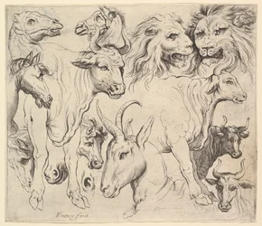 Studies of Heads