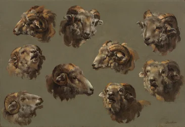 Studies of Ram Heads