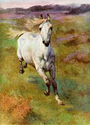 Study from Life for Colt Hunting in the New Forest