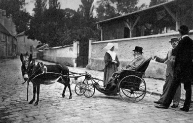 Sully Prudhomme, French Poet, 1905