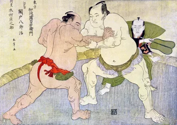 Sumo Wrestlers